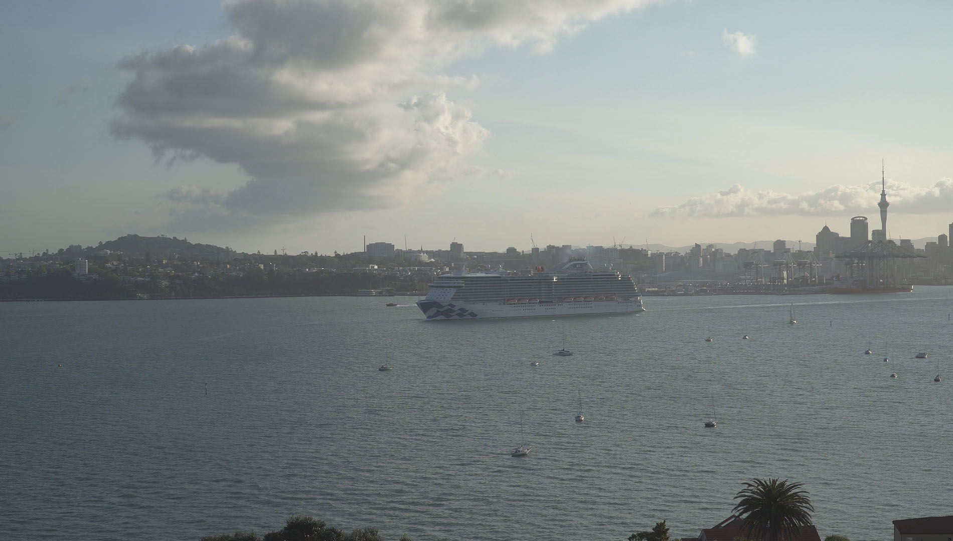 Majestic Princess